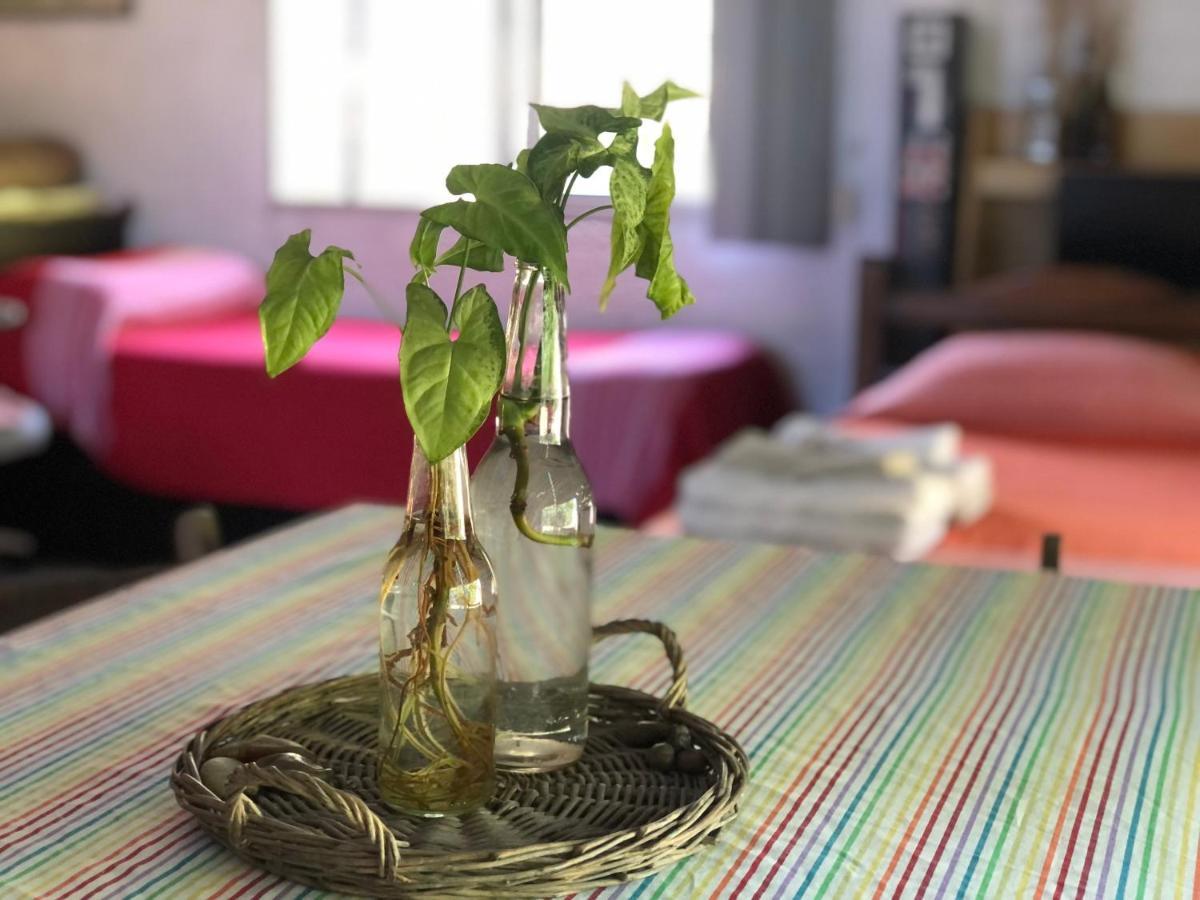 Casita Del Parque Hotel Salto Eksteriør billede